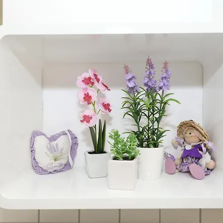 Lavanda * 스베티 페타르